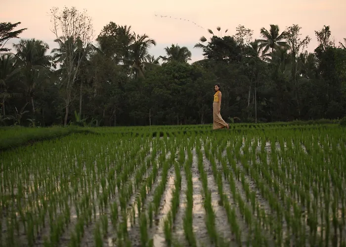 Alaya Ubud (Bali)